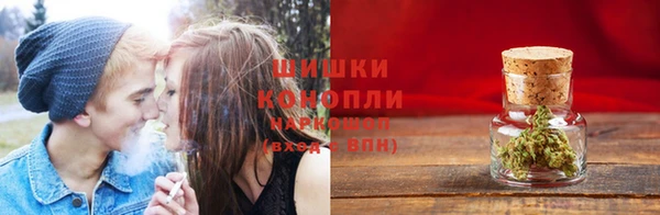 спайс Алексин