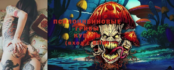 первитин Вуктыл