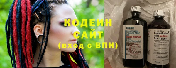 прущие грибы Абинск