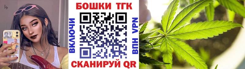 наркота  Камызяк  Каннабис тримм 